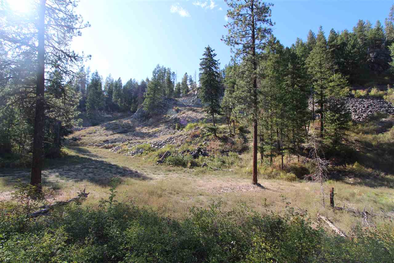 122 North Willms Road Elk, WA 99009 - Photo 19 of 20