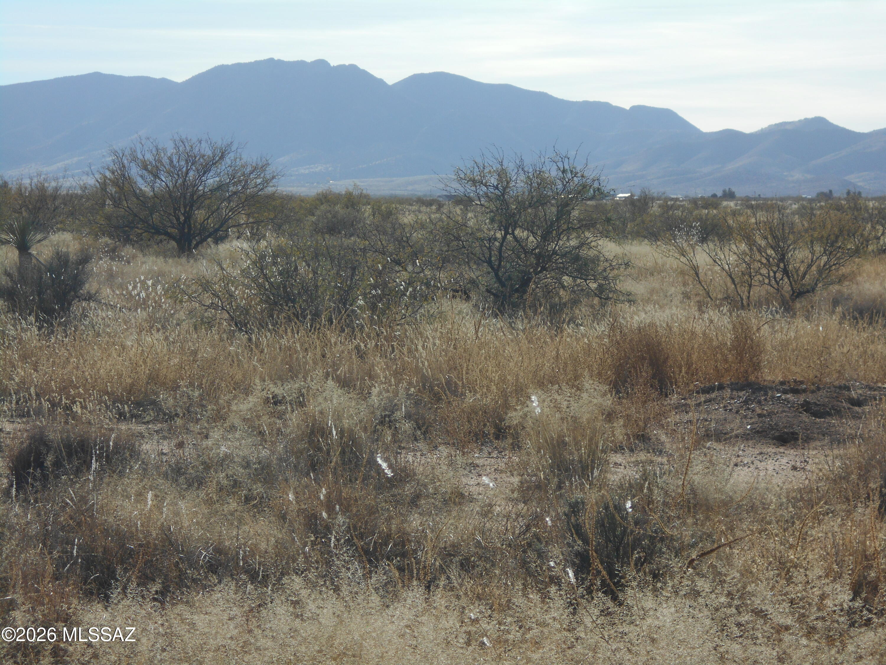 87 Acre Sidney Road, Unit 20 Pearce, AZ 85625 - Photo 6 of 16 DSCN5675