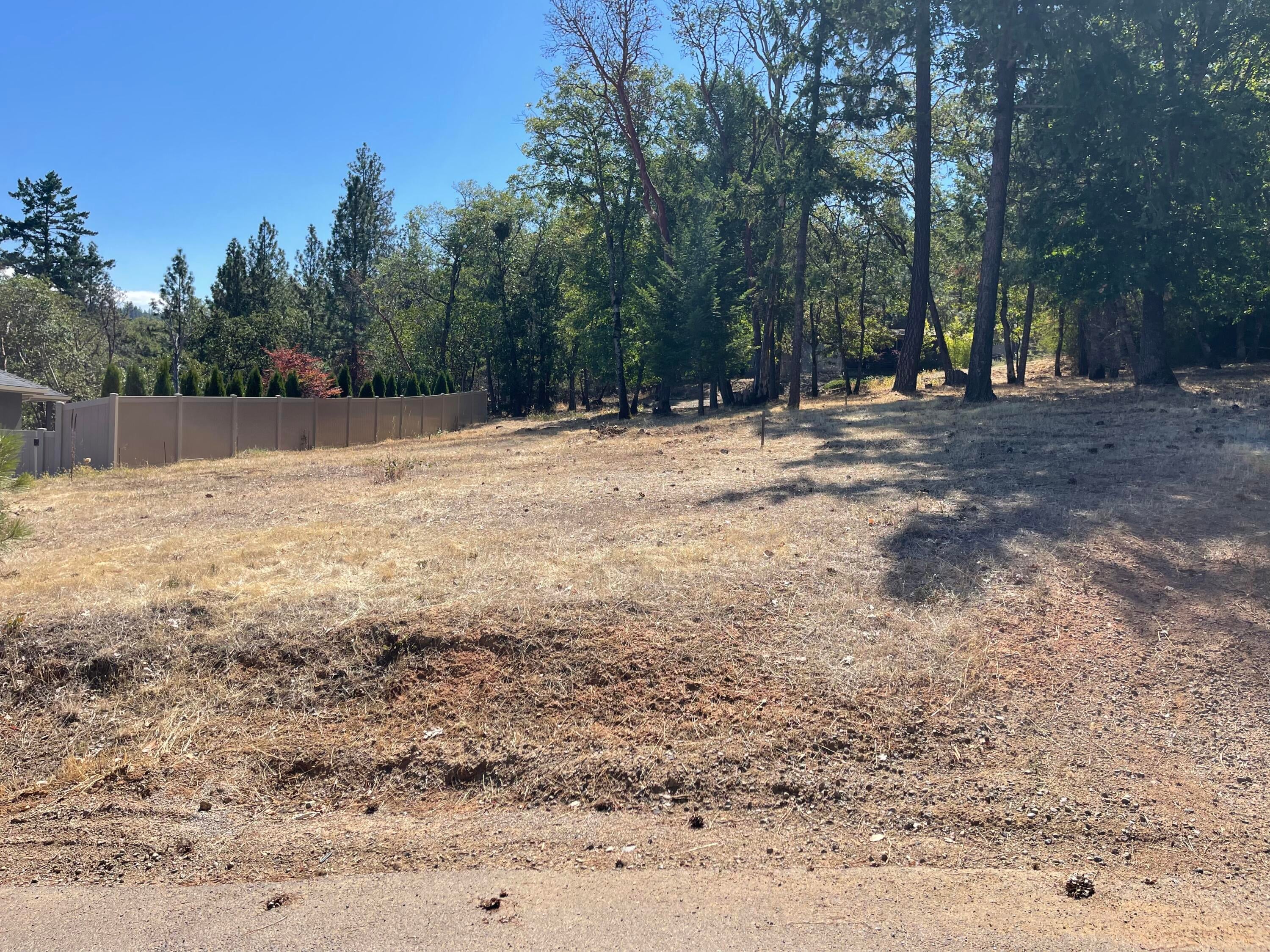955 Granite Ridge Circle Jacksonville, OR 97530 - Photo 13 of 20 image00006