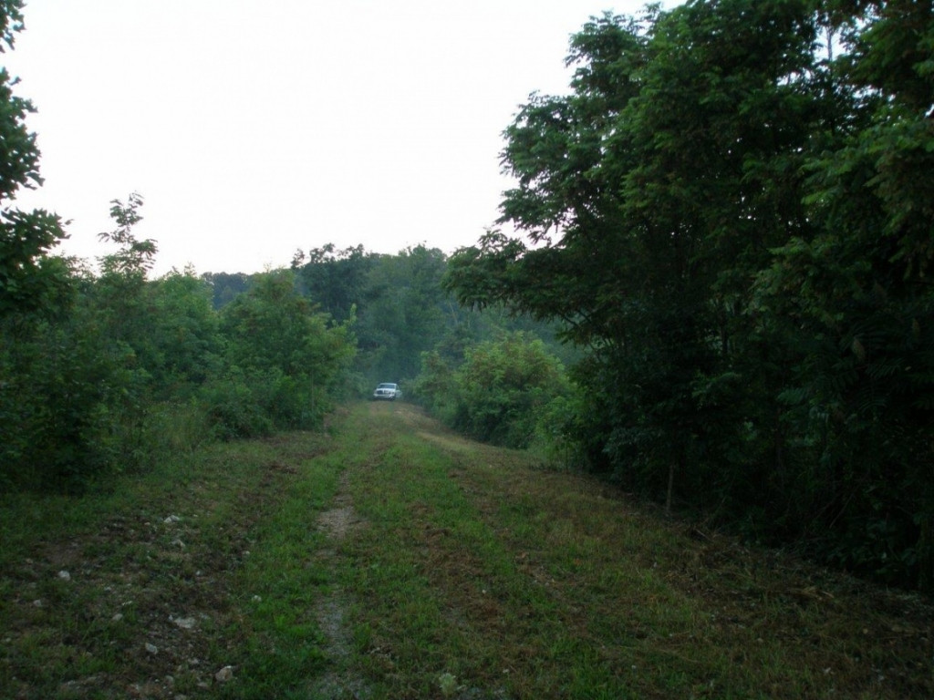 0 Rackum Road Thorn Hill, TN 37881 - Photo 6 of 17 Photo 6