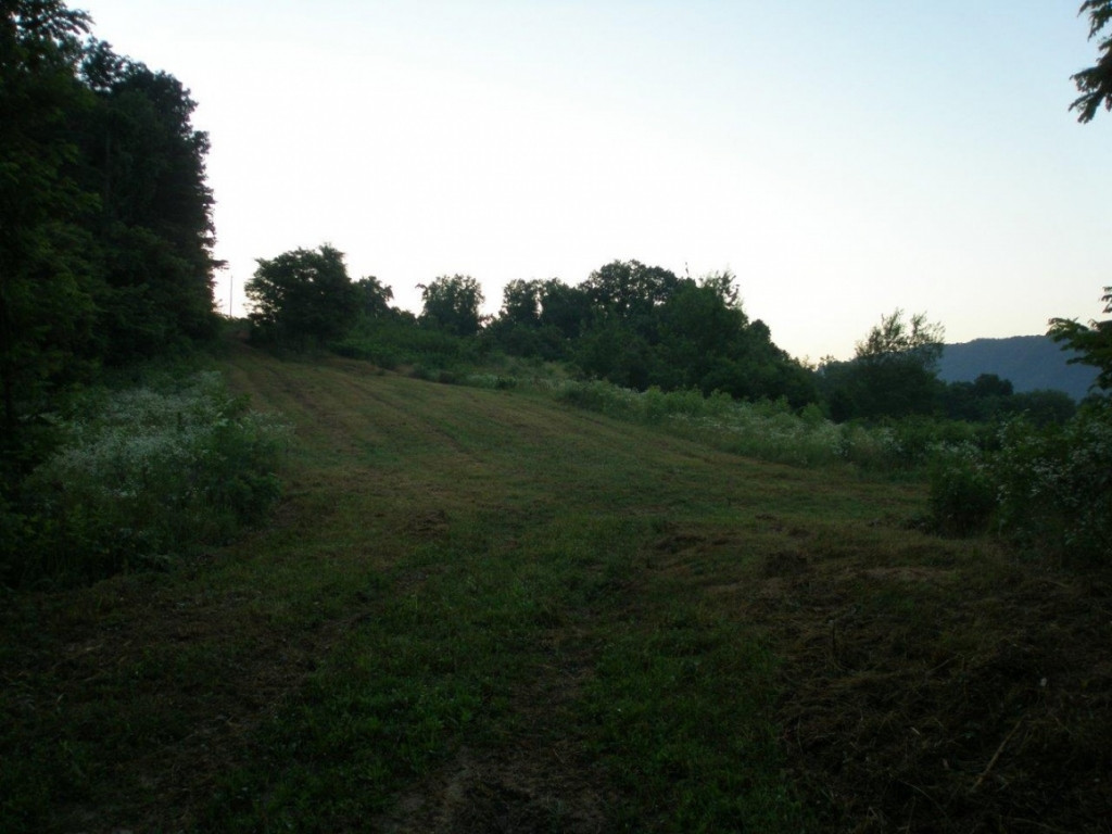 0 Rackum Road Thorn Hill, TN 37881 - Photo 7 of 17 Photo 7