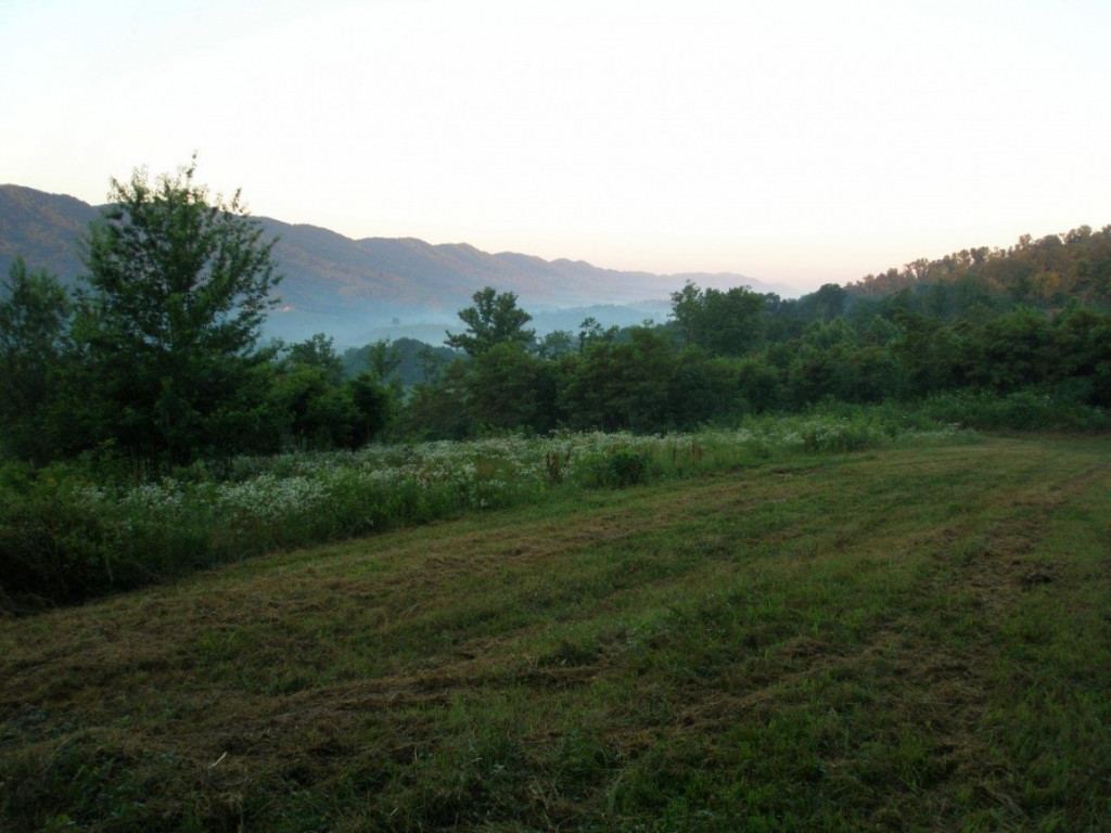 0 Rackum Road Thorn Hill, TN 37881 - Photo 10 of 17 Photo 10