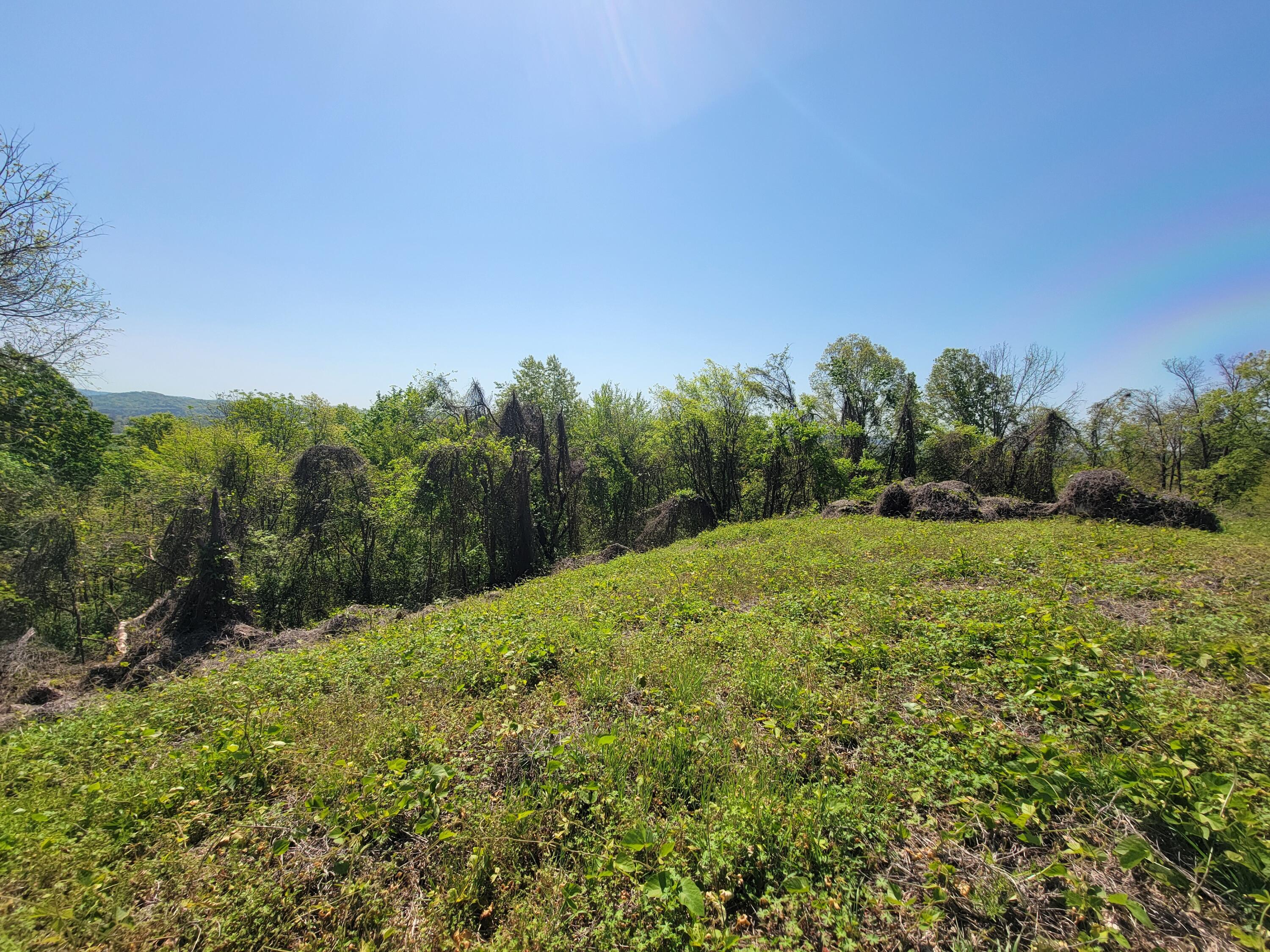 150 West Highland Drive Ringgold, GA 30736 - Photo 15 of 20 20250414_114700