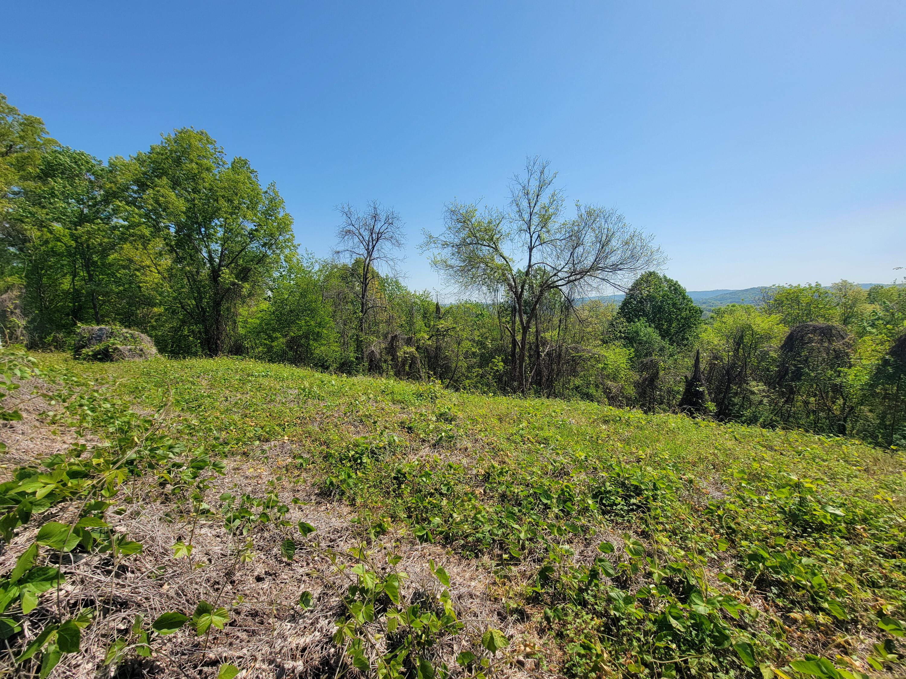 150 West Highland Drive Ringgold, GA 30736 - Photo 17 of 20 20250414_113347