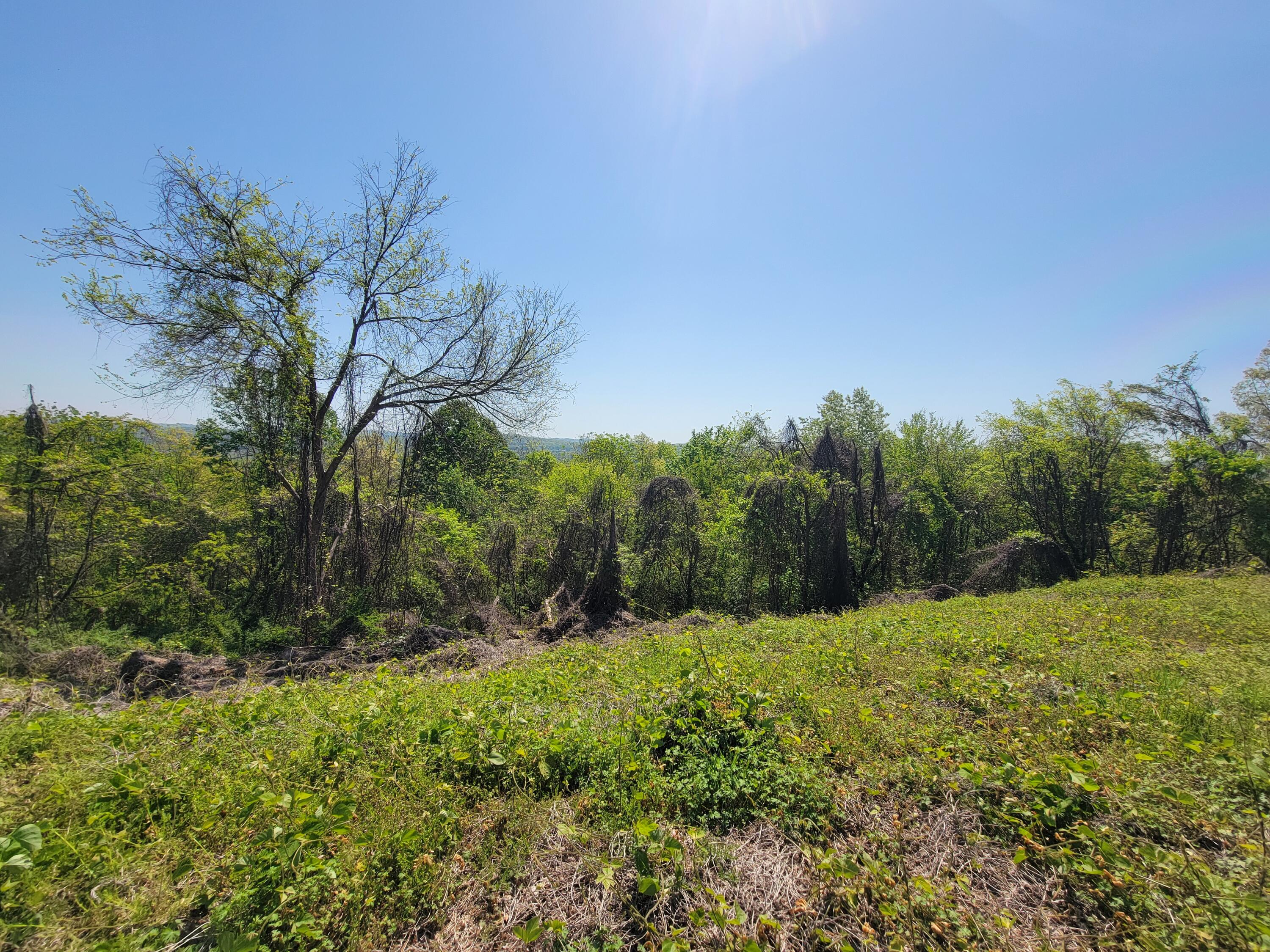 150 West Highland Drive Ringgold, GA 30736 - Photo 18 of 20 20250414_114649