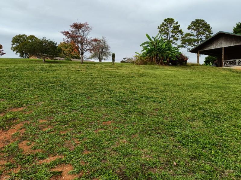 150 West Highland Drive Ringgold, GA 30736 - Photo 4 of 20 image000001