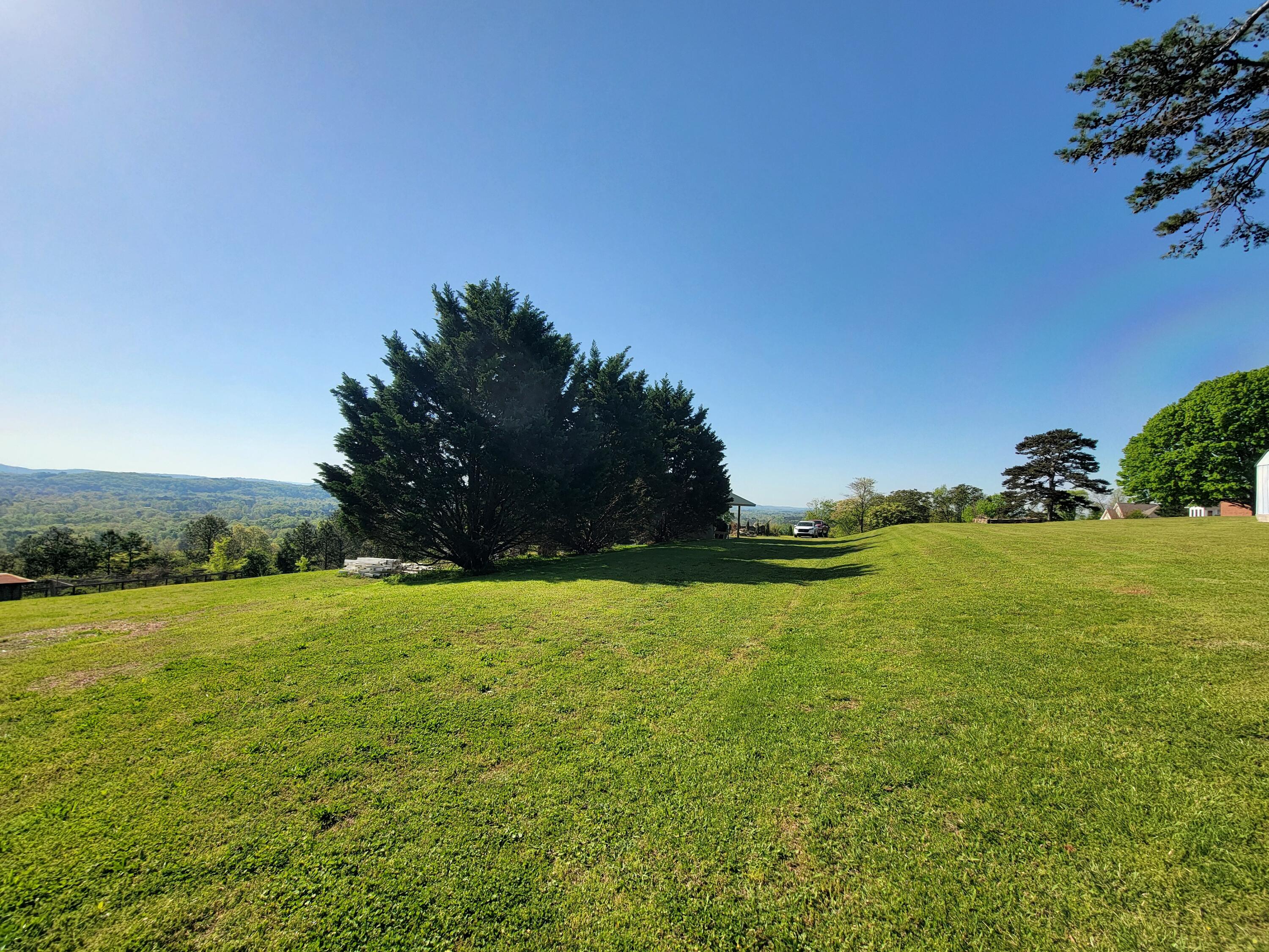 150 West Highland Drive Ringgold, GA 30736 - Photo 5 of 20 20250414_101058