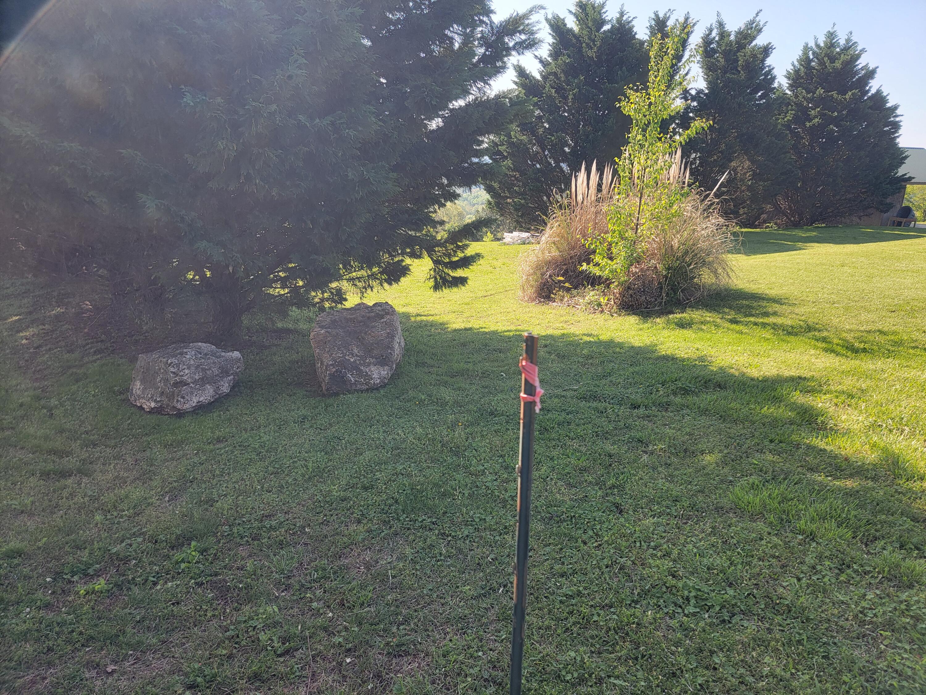 150 West Highland Drive Ringgold, GA 30736 - Photo 6 of 20 20250414_101021