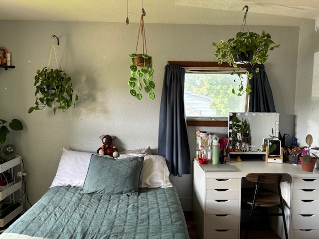 815 North 2nd Street Rochelle, IL 61068 - Photo 32 of 52 a bedroom with a bed and a potted plant