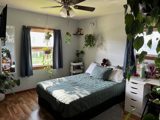 815 North 2nd Street Rochelle, IL 61068 - Photo 33 of 52 a bedroom with a bed and a potted plant