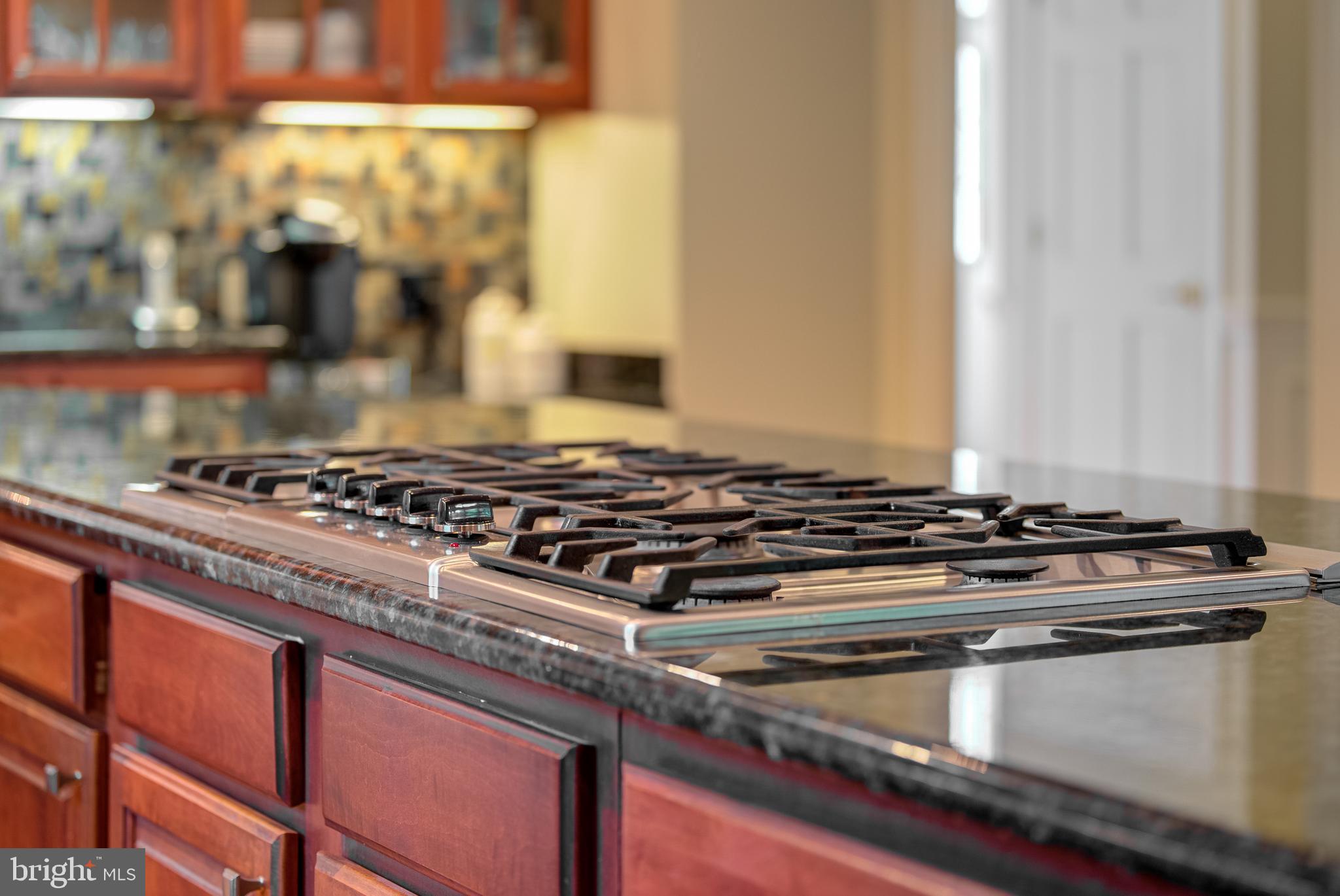 1854 Valley Wood Road McLean, VA 22101 - Photo 25 of 70 5 BURNER GAS COOKTOP W/TELESCOPING VENT