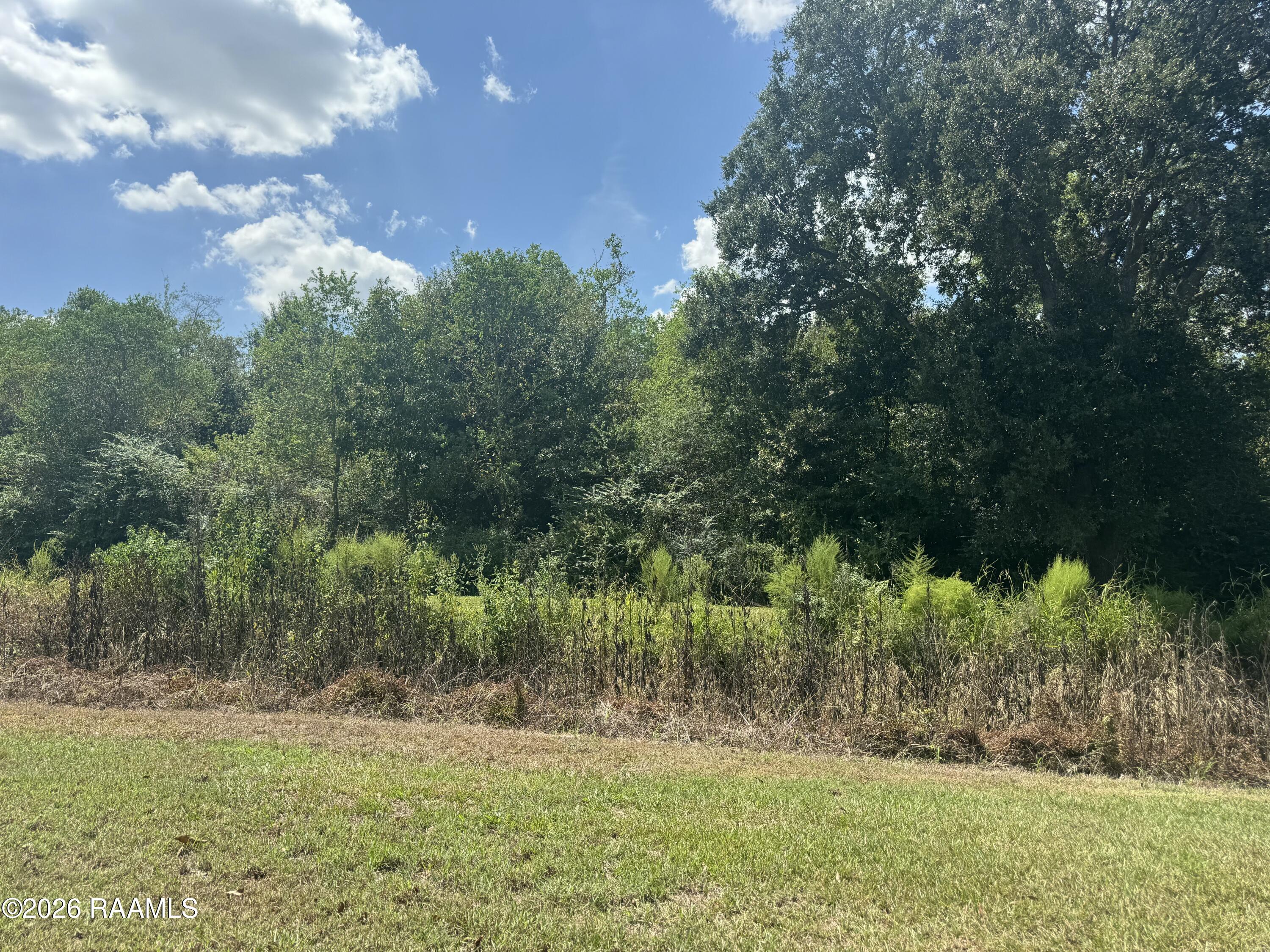 24913 Chestnut Road Kaplan, LA 70548 - Photo 7 of 14 IMG_2811