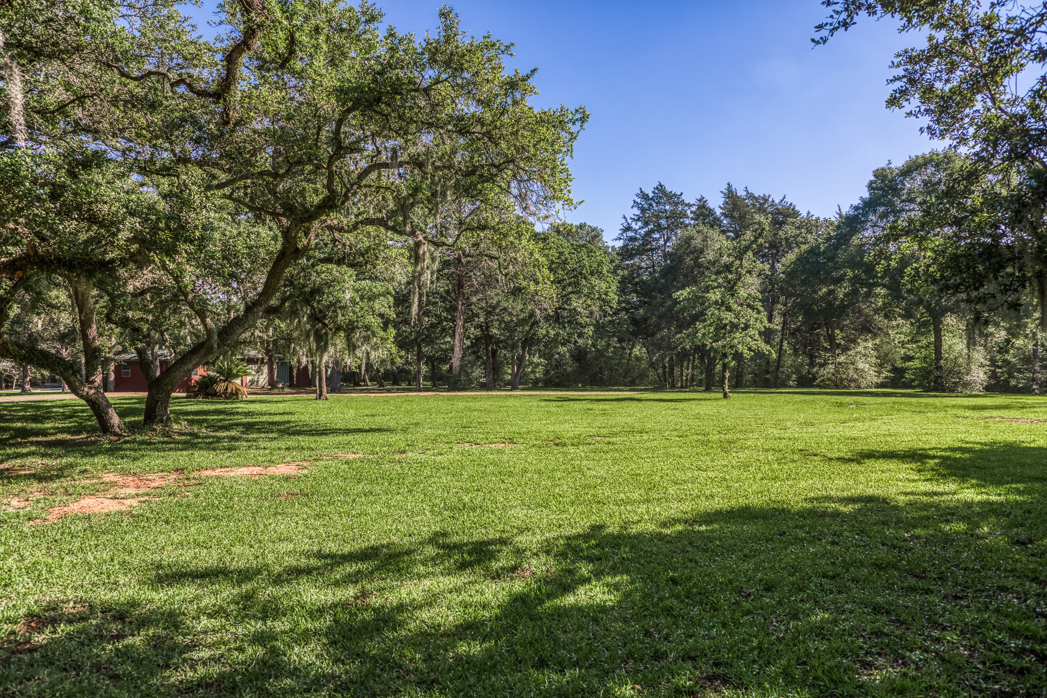 1017 Allen Road Cat Spring, TX 78933 - Photo 46 of 47 a view of field with trees in the background