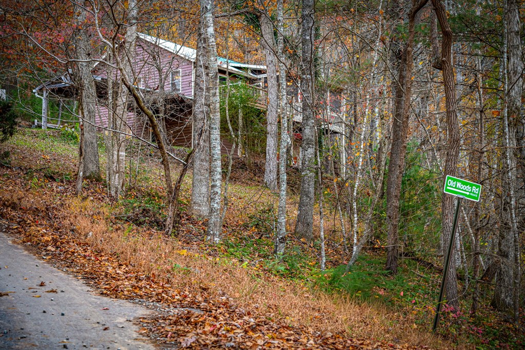 90 Hay Lane Morganton, GA 30560 - Photo 84 of 90 Gallery Image 84