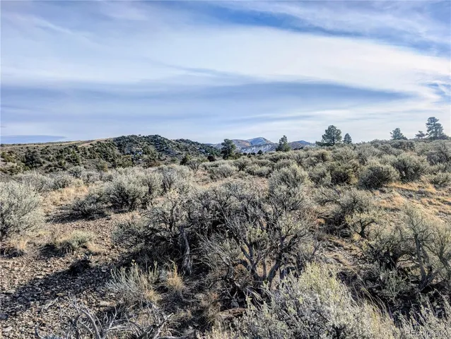 a view of a bunch of trees in a field