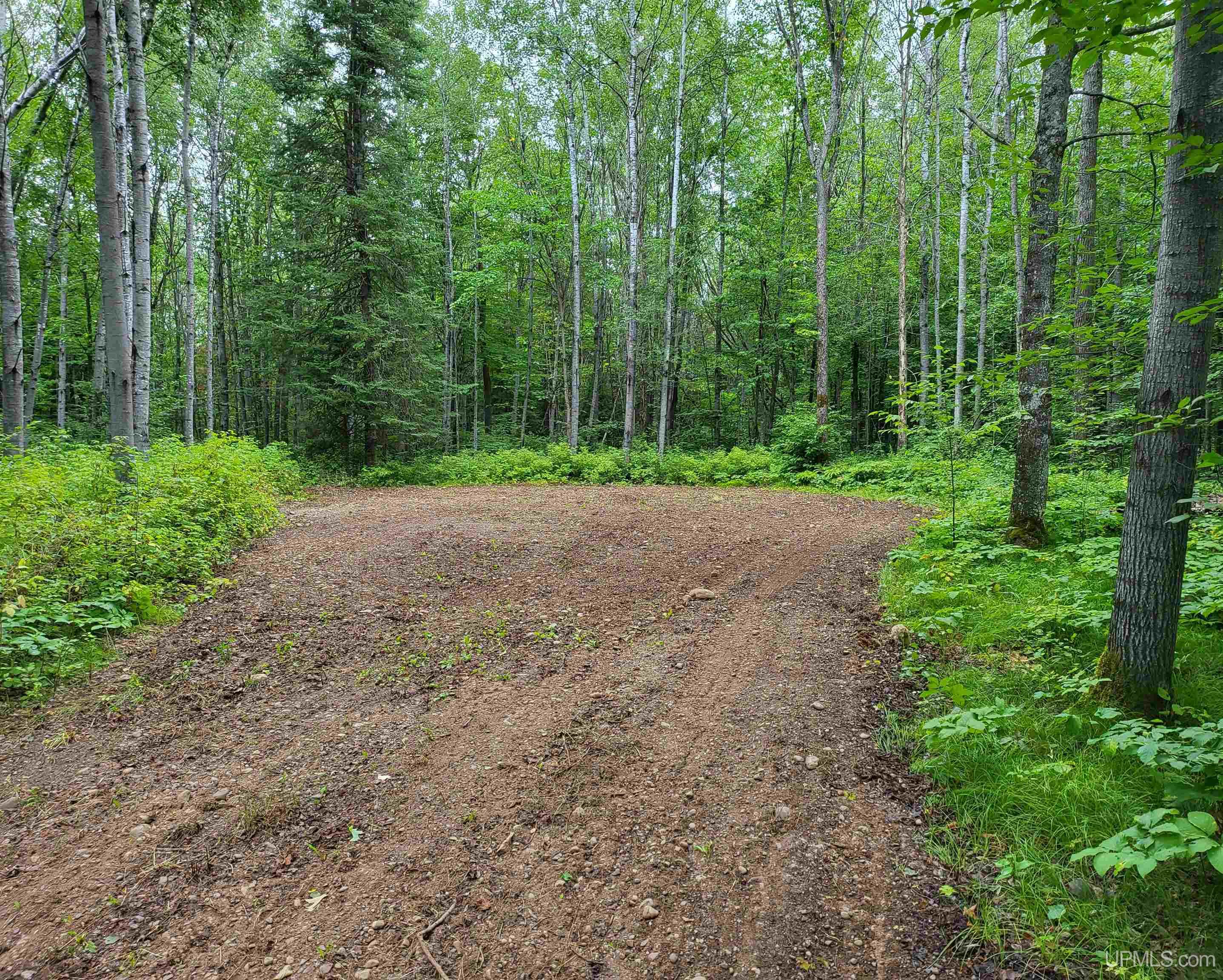 Tipler-wi Dream Lake Road Long Lake, WI 54542 - Photo 4 of 4