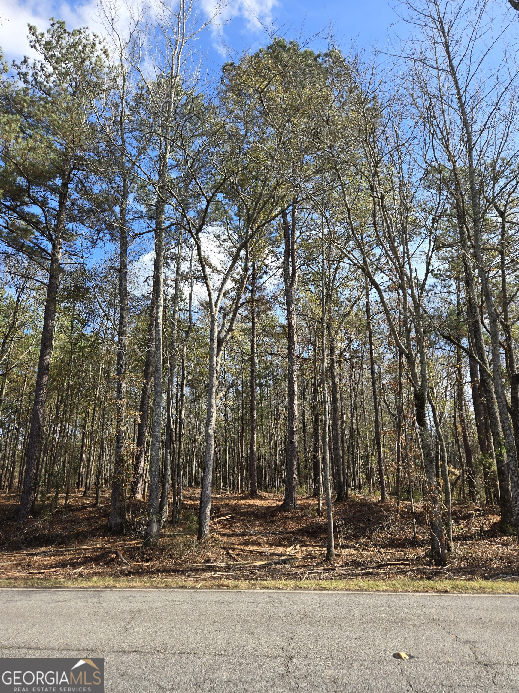 0 Yatesville Road Barnesville, GA 30204 - Photo 2 of 11