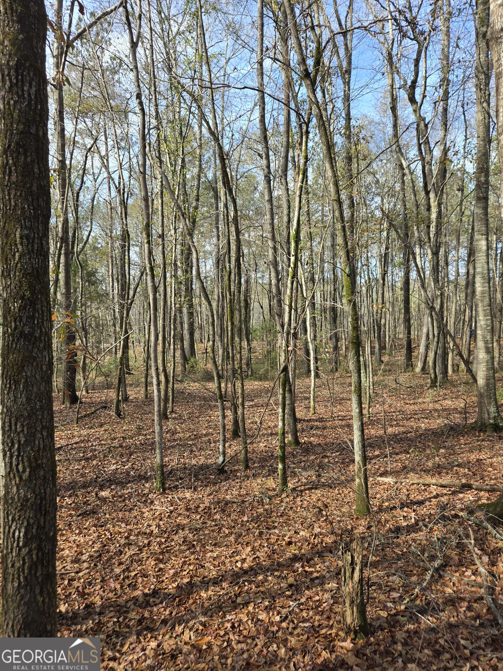 0 Yatesville Road Barnesville, GA 30204 - Photo 4 of 11