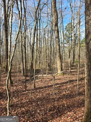 $119,900 | 0 Yatesville Road, Barnesville, GA 30204