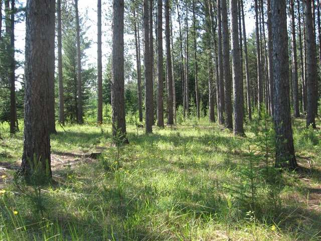 On On Mcnaughton Lane Rhinelander, WI 54501 - Photo 15 of 15 Gallery Image 15