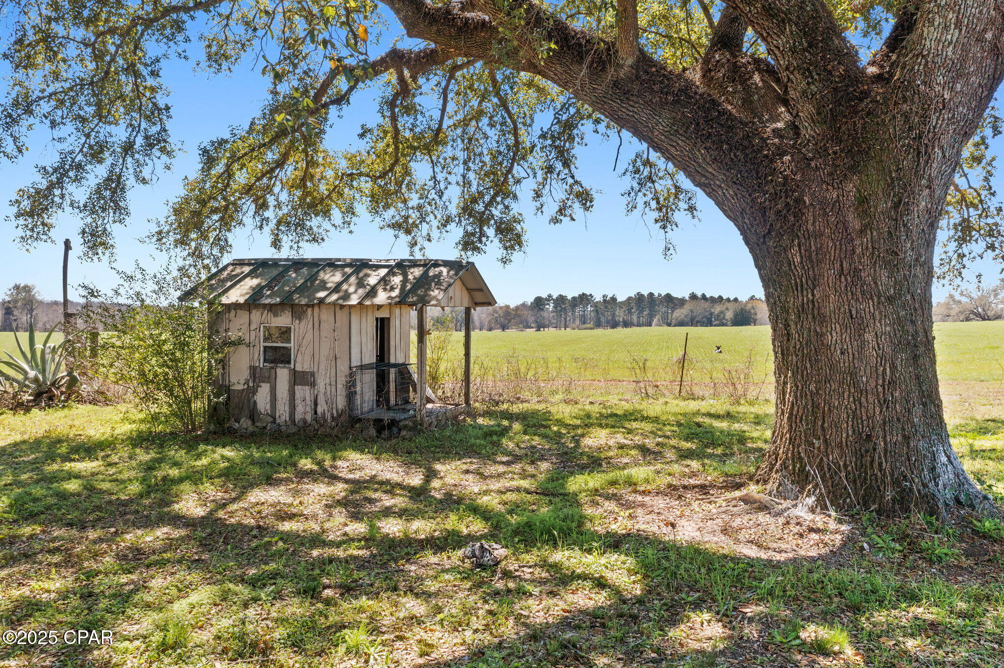 1517 Sanders Road Graceville, FL 32440 - Photo 33 of 45 Gallery Image 33