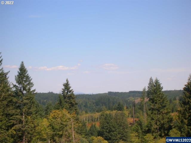 Chapman G Road, Unit 25 26 Scappoose, OR 97056 - Photo 3 of 9 Gallery Image 3
