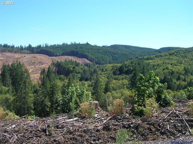 Chapman G Road, Unit 25 26 Scappoose, OR 97056 - Photo 8 of 9 Gallery Image 8