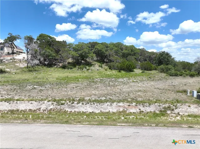 a view of a yard with a tree