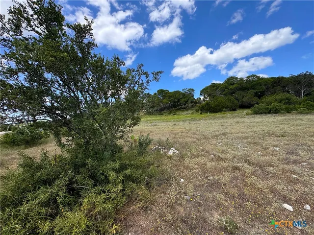 a view of a bunch of trees