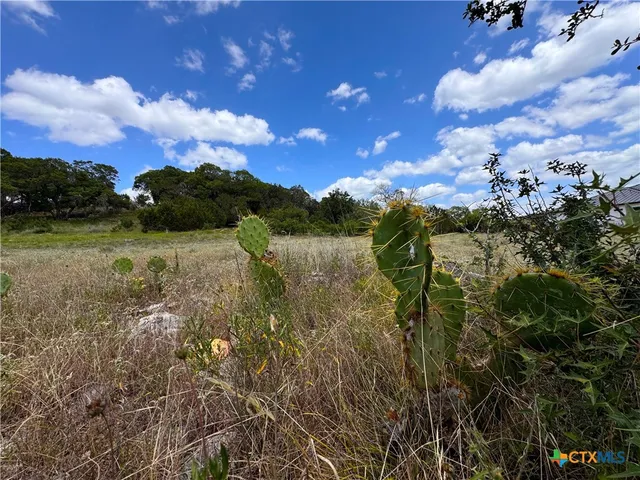 a view of lake with mountain