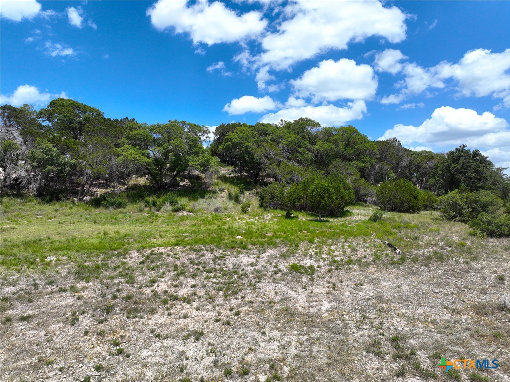 329 Arthur Court Spring Branch, TX 78070 - Photo 2 of 13 a view of a big yard with plants and large trees
