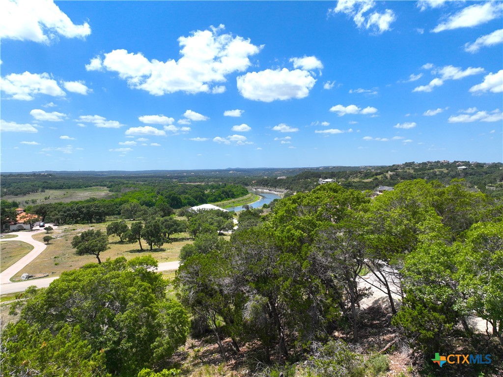 329 Arthur Court Spring Branch, TX 78070 - Photo 7 of 13 a view of a city