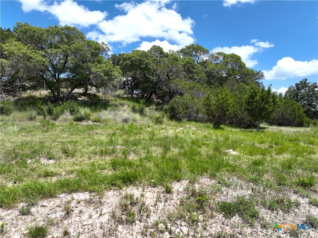 329 Arthur Court Spring Branch, TX 78070 - Photo 10 of 13 a view of a garden with a tree