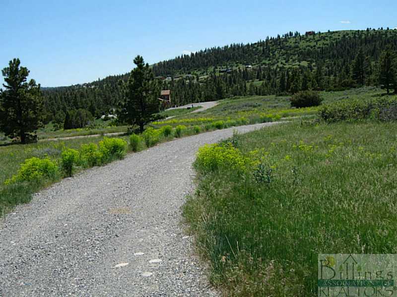 Lot 110 Pinecrest Road Columbus, MT 59019 - Photo 1 of 1 Gallery Image 1