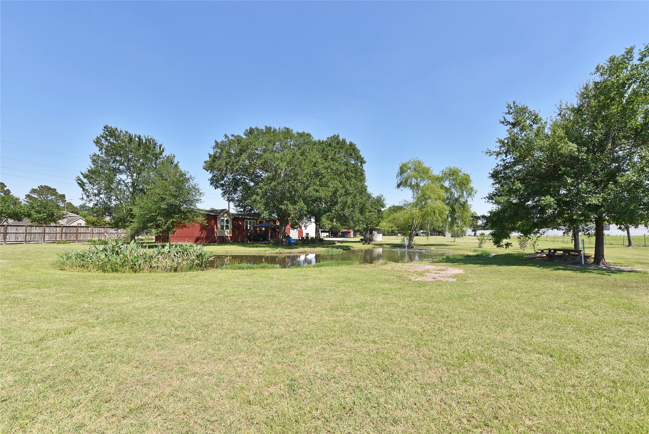 3221 Pecha Lane Rosenberg, TX 77471 - Photo 40 of 46 a view of a swimming pool and trees in the background