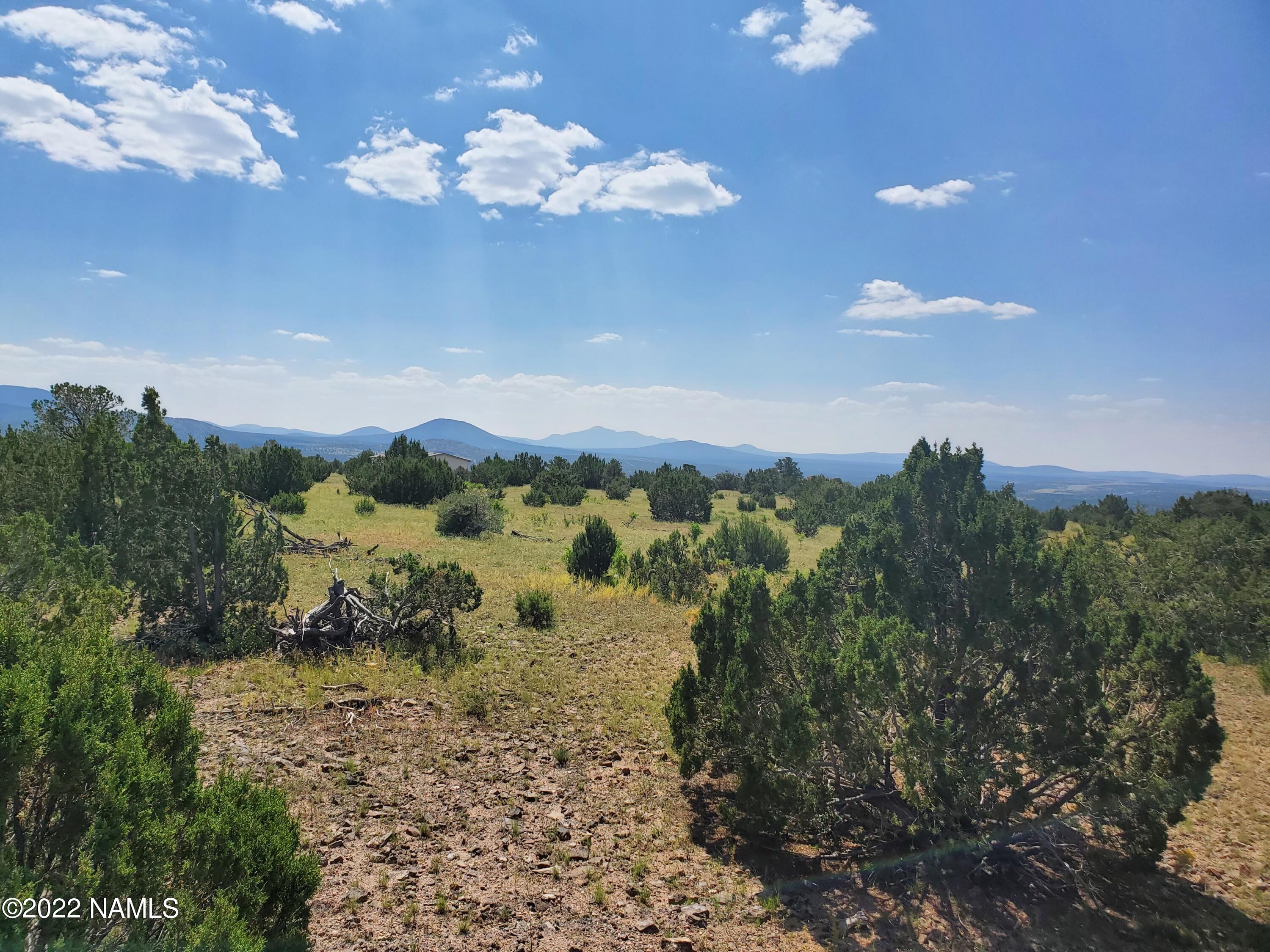 12688 Mesa View Road Williams, AZ 86046 - Photo 3 of 20 Mesa View