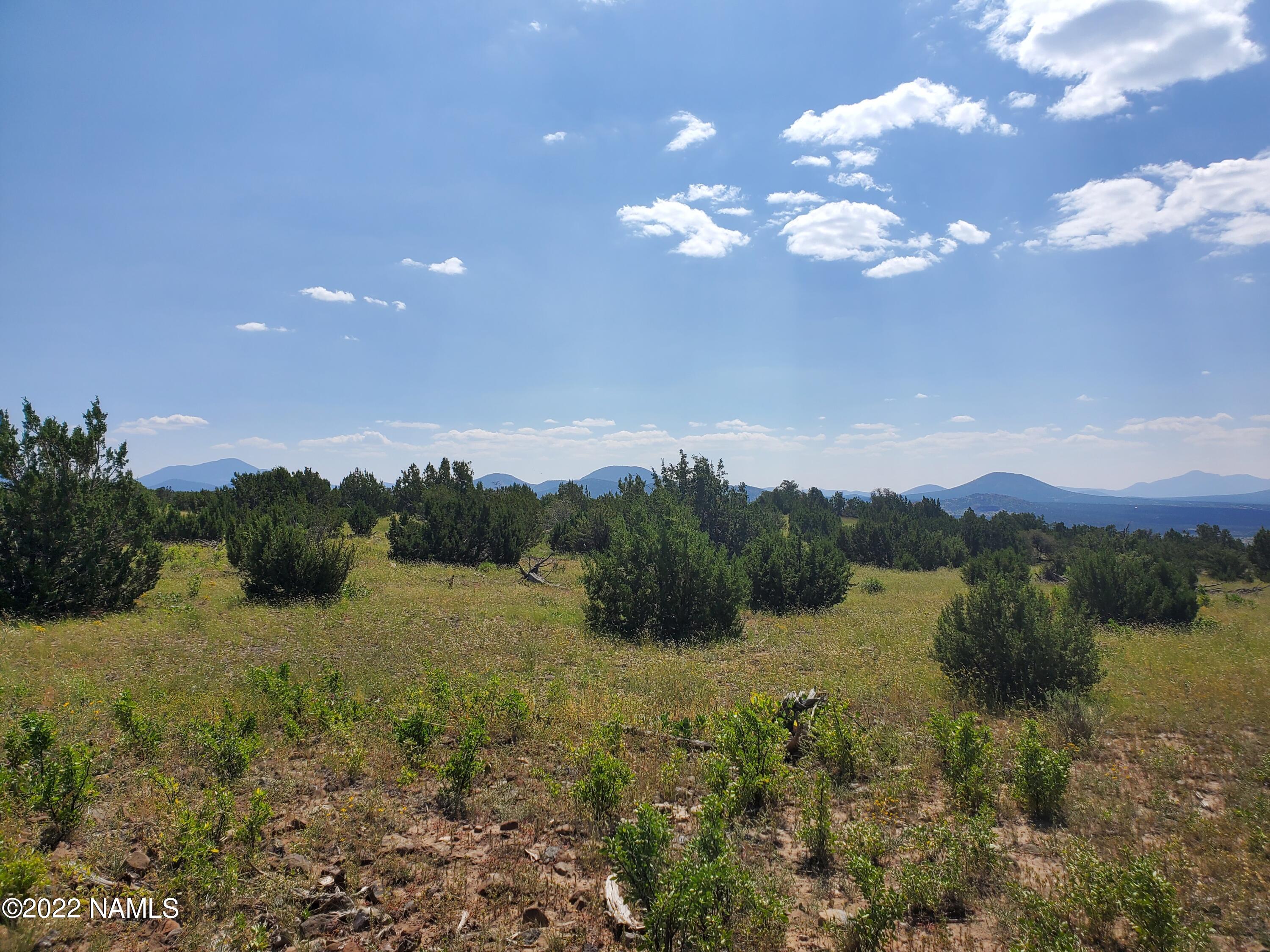 12688 Mesa View Road Williams, AZ 86046 - Photo 8 of 20 Mesa View