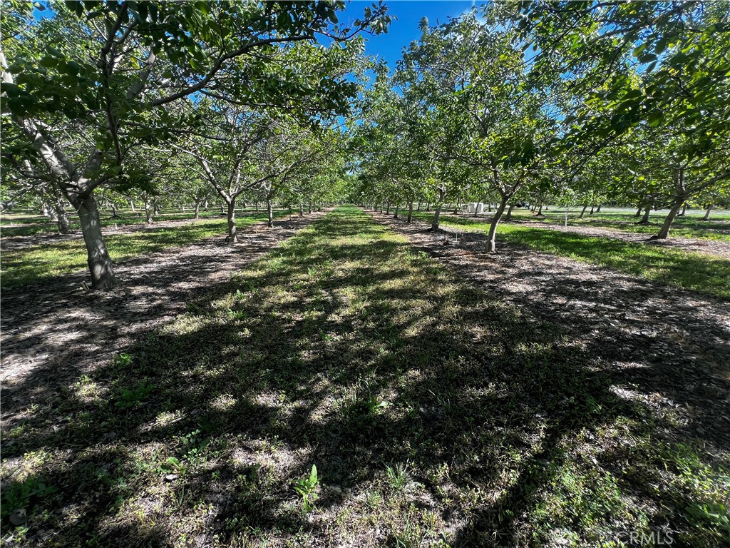 a view of outdoor space with trees all around