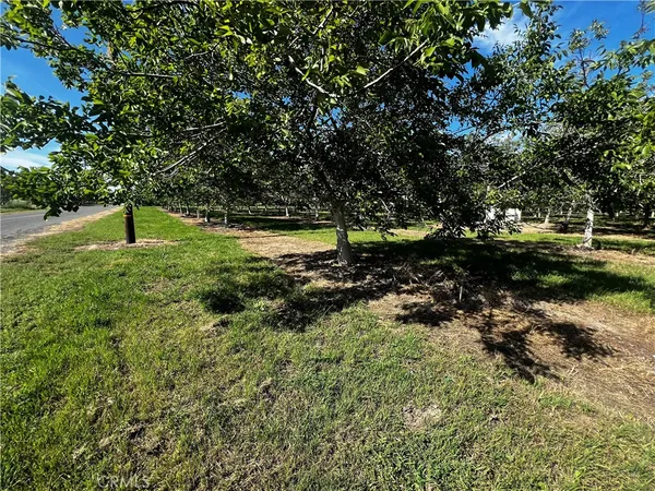a fire hydrant in the middle of a field