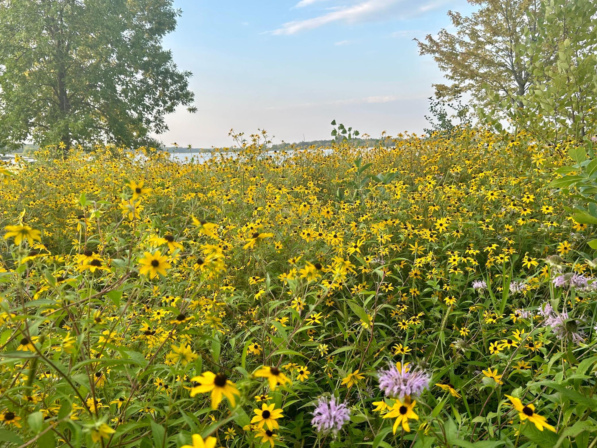 19512 2 Rivers Road Avon, MN 56310 - Photo 41 of 54