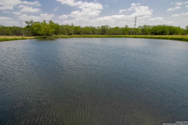 a view of lake and trees
