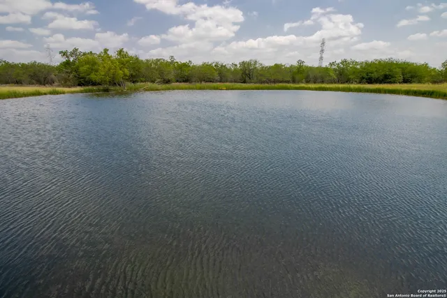 a view of lake and trees