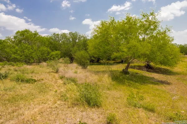 a view of a yard