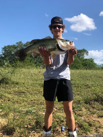 a water fountain in the middle of a garden