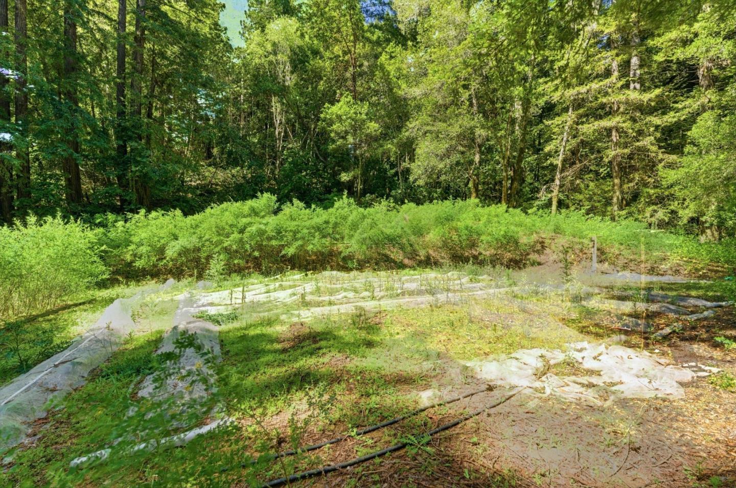 1460 Tucker Road Scotts Valley, CA 95066 - Photo 28 of 32 a view of yard with green space