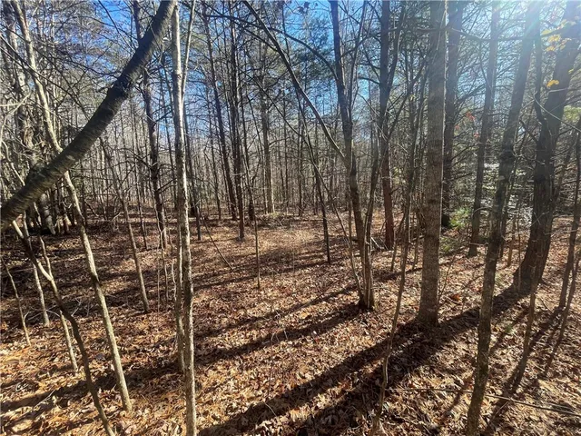 $150,000 | 0 Cassidy Bridge, Mountain Rest, SC 29664