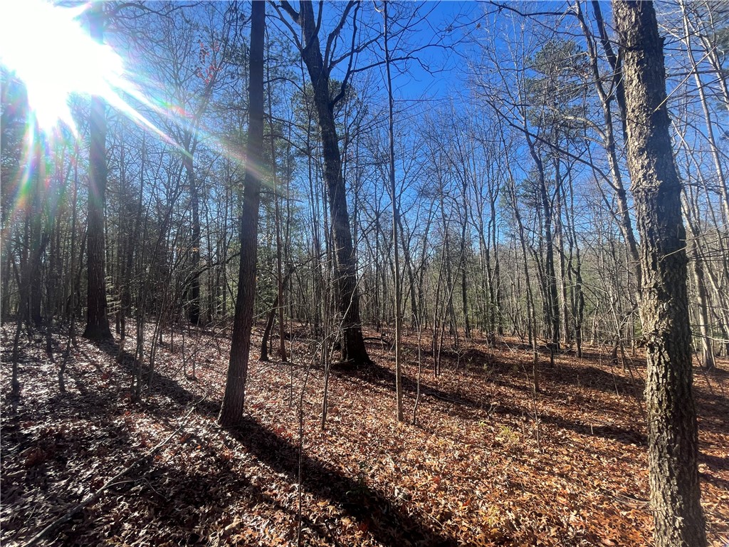 0 Cassidy Bridge Mountain Rest, SC 29664 - Photo 13 of 50