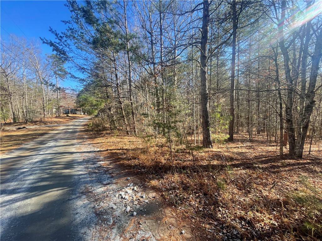 0 Cassidy Bridge Mountain Rest, SC 29664 - Photo 14 of 50
