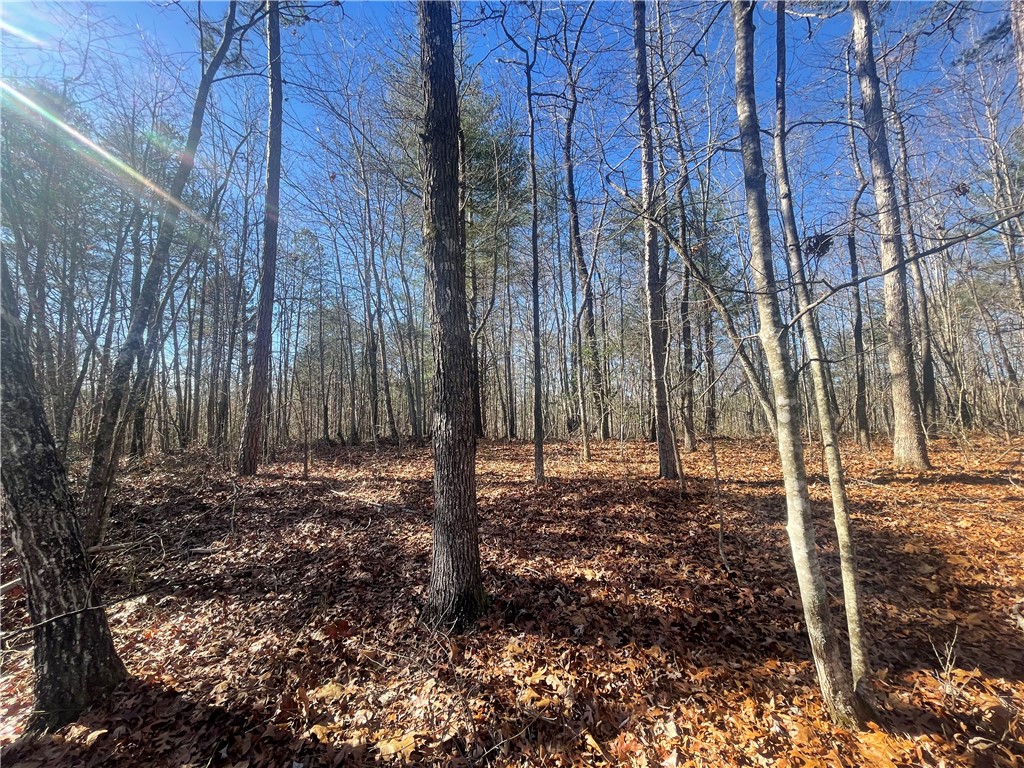 0 Cassidy Bridge Mountain Rest, SC 29664 - Photo 17 of 50