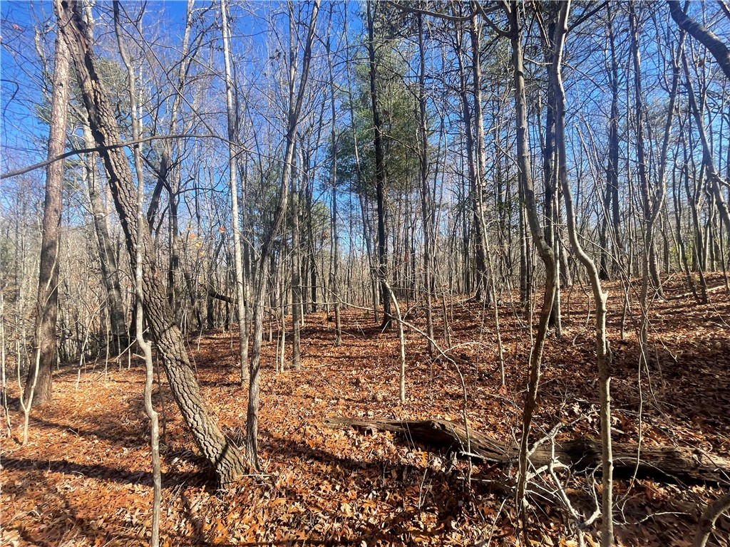 0 Cassidy Bridge Mountain Rest, SC 29664 - Photo 18 of 50